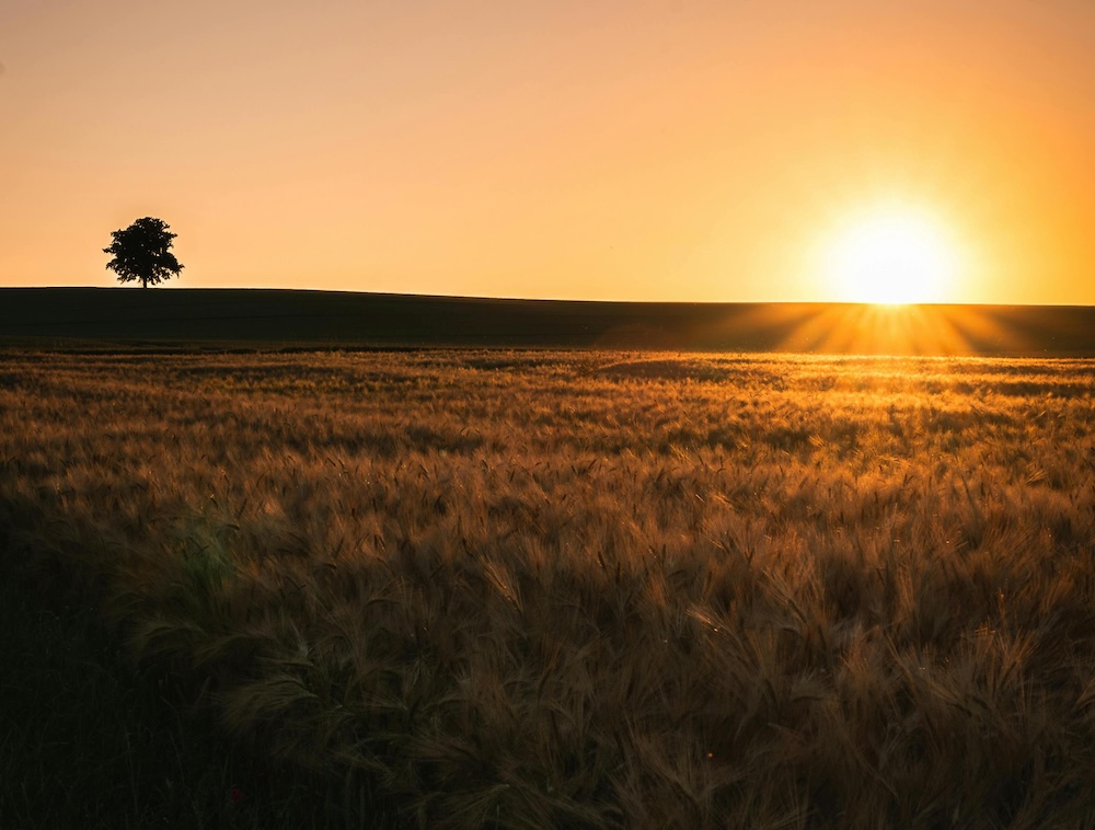 southern plains sunset